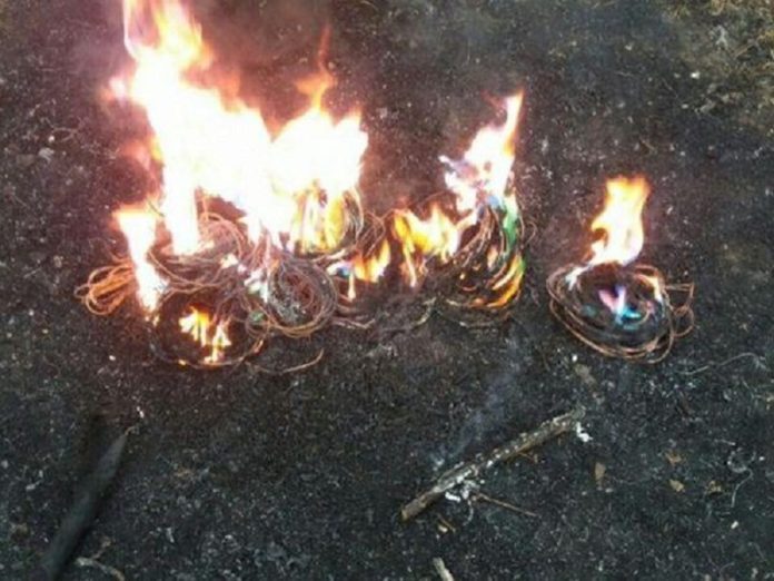 В Подольске задержаны нарушители, обжигавшие кабель в лесополосе