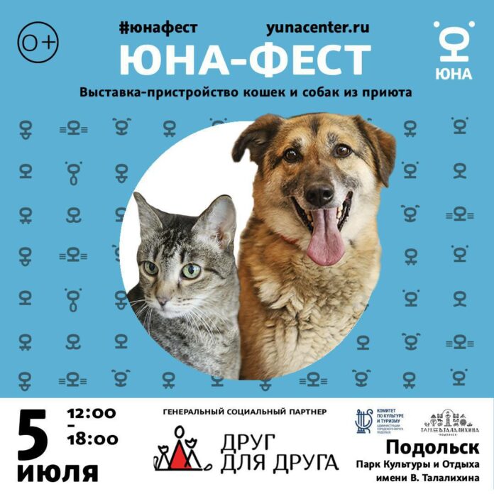 В Подольске состоится фестиваль по пристройству животных В Подольске состоится фестиваль по пристройству животных