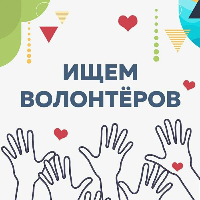 Приглашаются волонтеры на новый учебный год