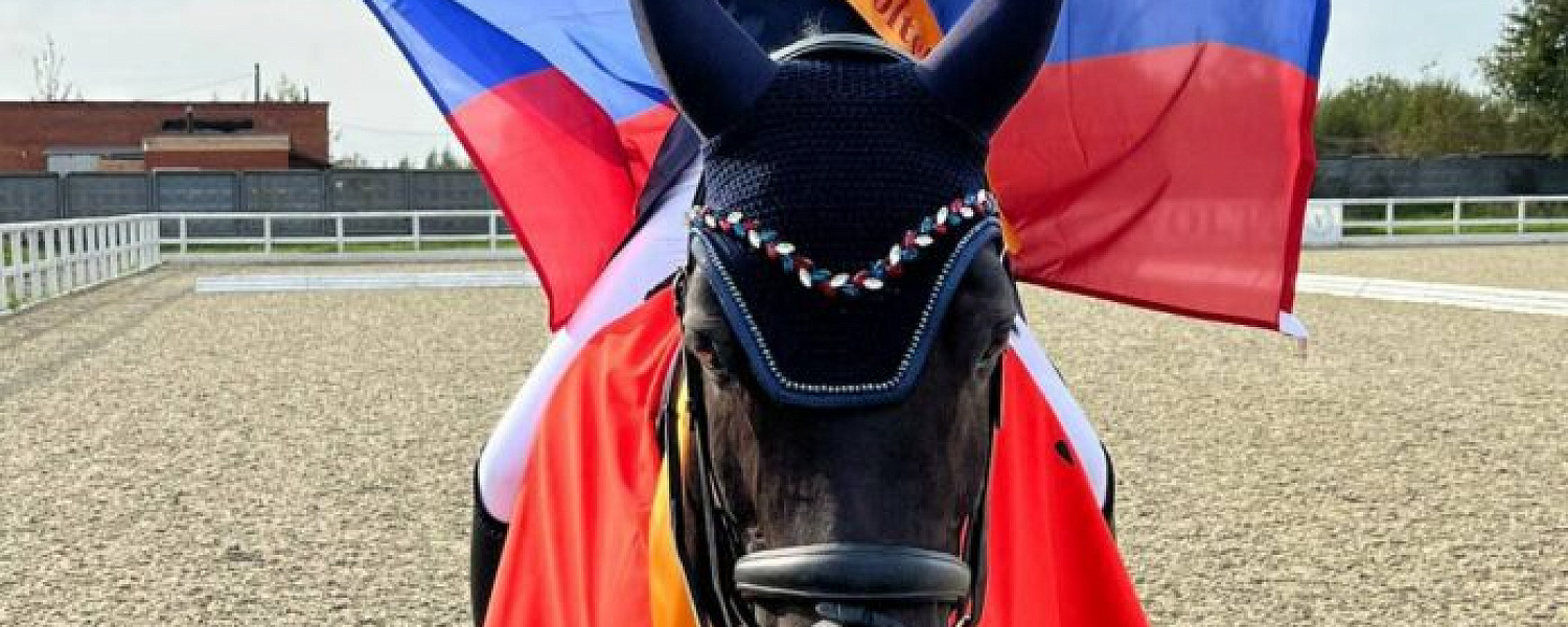 Спортивная пара из Подольска стала абсолютным победителем международных соревнований и этапа Кубка России по...