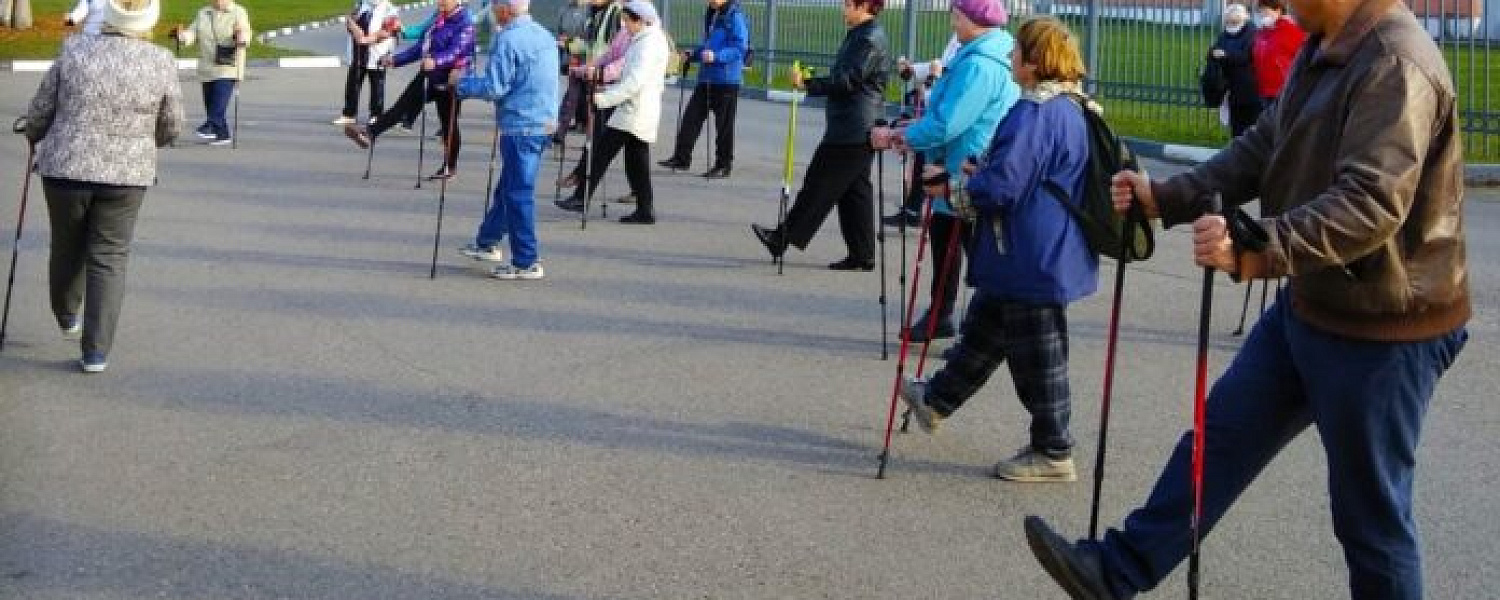 В Подольске прошел День здоровья для любителей скандинавской и пешей ходьбы В Подольске прошел День здоровья для любителей скандинавской и пешей ходьбы