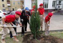 Ветераны Великой Отечественной войны 5 сентября приняли участие в субботнике во дворе дома №2/18 по улице Победы в микрорайоне Климовск