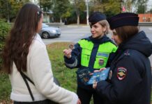 Сотрудники Госавтоинспекции в Подольске напомнили пешеходам о дорожной безопасности